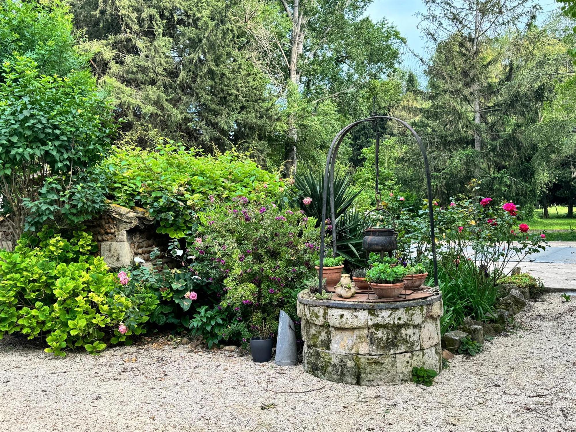Mazet En Campagne Lägenhet Arles Exteriör bild
